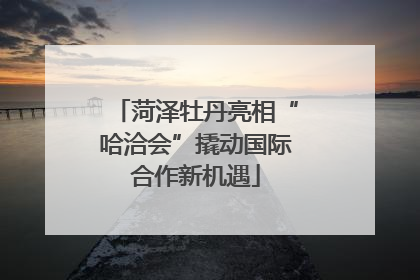 菏泽牡丹亮相“哈洽会”撬动国际合作新机遇