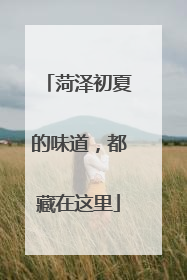 菏泽初夏的味道，都藏在这里