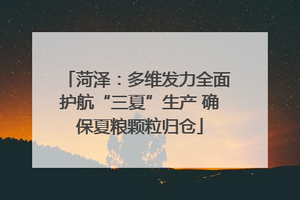 菏泽：多维发力全面护航“三夏”生产 确保夏粮颗粒归仓
