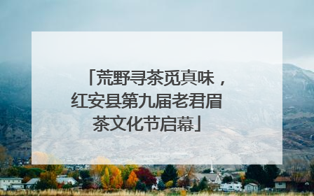 荒野寻茶觅真味，红安县第九届老君眉茶文化节启幕