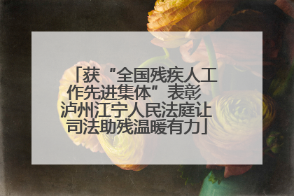 获“全国残疾人工作先进集体”表彰 泸州江宁人民法庭让司法助残温暖有力