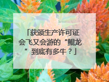获颁生产许可证 会飞又会游的“鲲龙”到底有多牛？