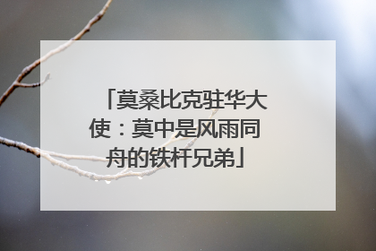 莫桑比克驻华大使：莫中是风雨同舟的铁杆兄弟