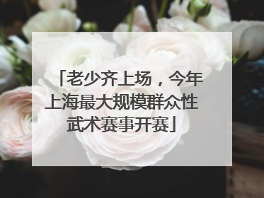 老少齐上场，今年上海最大规模群众性武术赛事开赛