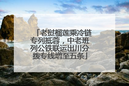 老挝榴莲乘冷链专列抵蓉，中老班列公铁联运出川分拨专线增至五条
