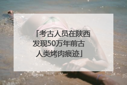 考古人员在陕西发现50万年前古人类烤肉痕迹