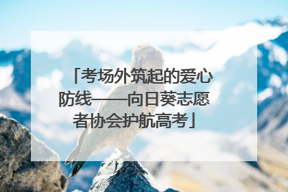 考场外筑起的爱心防线——向日葵志愿者协会护航高考