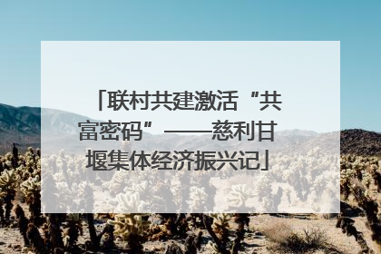 联村共建激活“共富密码”——慈利甘堰集体经济振兴记