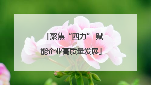 聚焦“四力” 赋能企业高质量发展