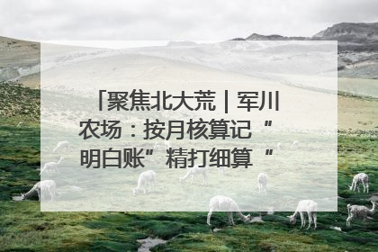 聚焦北大荒｜军川农场：按月核算记“明白账”精打细算“过紧日子”