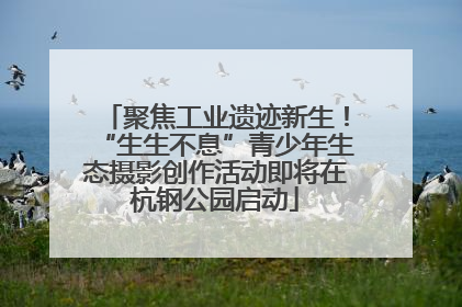 聚焦工业遗迹新生！“生生不息”青少年生态摄影创作活动即将在杭钢公园启动