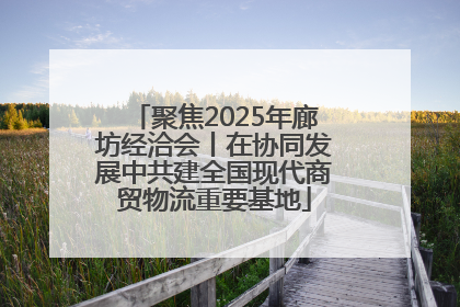 聚焦2025年廊坊经洽会丨在协同发展中共建全国现代商贸物流重要基地