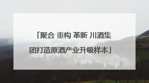 聚合 重构 革新 川酒集团打造原酒产业升级样本