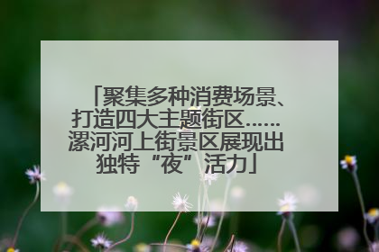 聚集多种消费场景、打造四大主题街区……漯河河上街景区展现出独特“夜”活力
