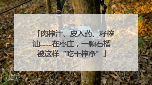肉榨汁、皮入药、籽榨油……在枣庄，一颗石榴被这样“吃干榨净”