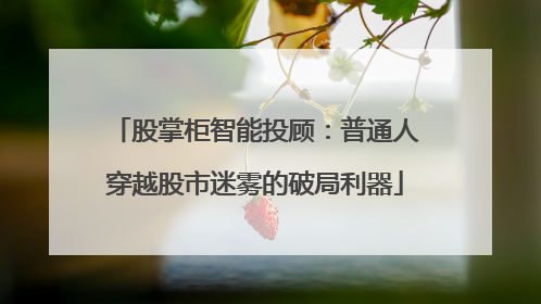 股掌柜智能投顾：普通人穿越股市迷雾的破局利器