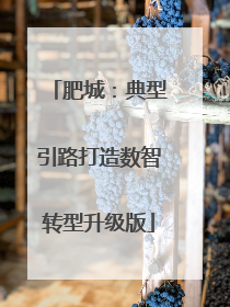 肥城：典型引路打造数智转型升级版