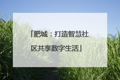 肥城：打造智慧社区共享数字生活