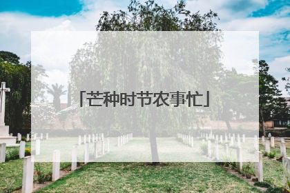 芒种时节农事忙