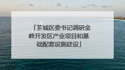 芗城区委书记调研金峰开发区产业项目和基础配套设施建设