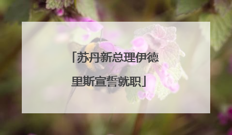 苏丹新总理伊德里斯宣誓就职