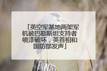 英空军基地两架军机被巴勒斯坦支持者喷漆破坏，英首相和国防部发声