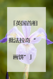 英国首相批法拉奇“画饼”