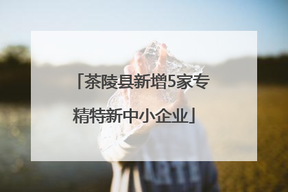 茶陵县新增5家专精特新中小企业