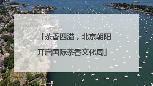 茶香四溢，北京朝阳开启国际茶香文化周