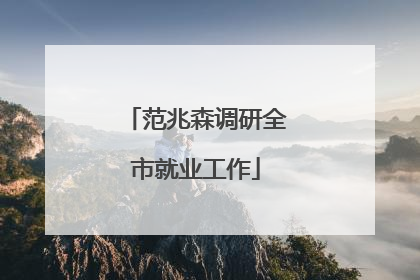 范兆森调研全市就业工作
