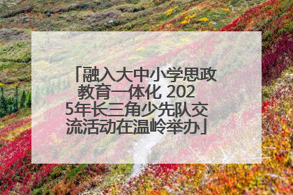融入大中小学思政教育一体化 2025年长三角少先队交流活动在温岭举办
