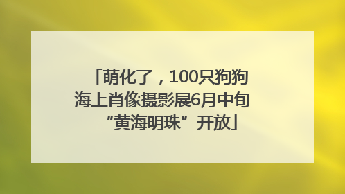 萌化了，100只狗狗海上肖像摄影展6月中旬“黄海明珠”开放