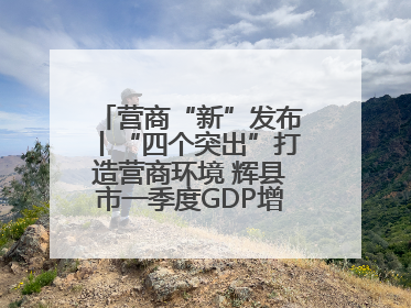 营商“新”发布丨“四个突出”打造营商环境 辉县市一季度GDP增长6.9% 36个重点项目落地
