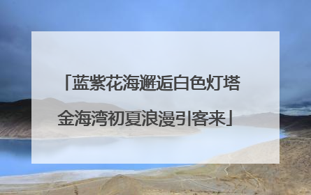 蓝紫花海邂逅白色灯塔 金海湾初夏浪漫引客来