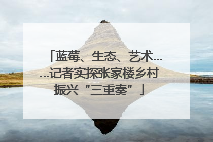 蓝莓、生态、艺术……记者实探张家楼乡村振兴“三重奏”