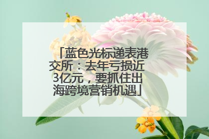 蓝色光标递表港交所：去年亏损近3亿元，要抓住出海跨境营销机遇