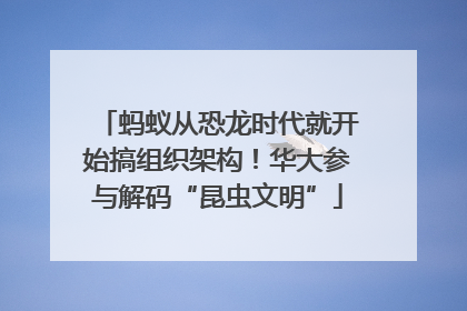 蚂蚁从恐龙时代就开始搞组织架构！华大参与解码“昆虫文明”