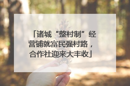 诸城“整村制”经营铺就富民强村路，合作社迎来大丰收