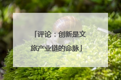 评论：创新是文旅产业链的命脉