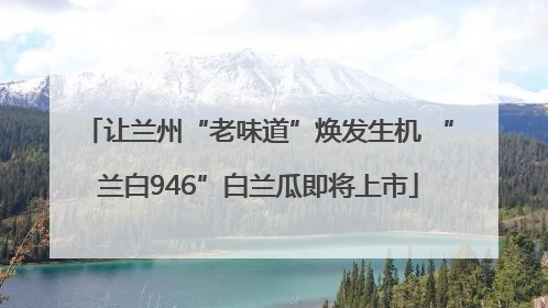 让兰州“老味道”焕发生机 “兰白946”白兰瓜即将上市