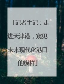 记者手记：走进天津港，窥见未来现代化港口的模样