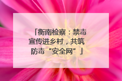 衡南检察：禁毒宣传进乡村，共筑防毒“安全网”