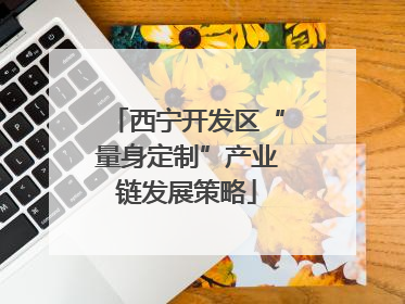 西宁开发区“量身定制”产业链发展策略