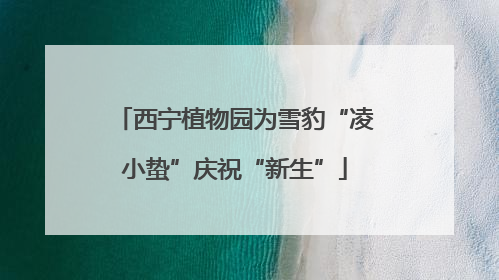 西宁植物园为雪豹“凌小蛰”庆祝“新生”