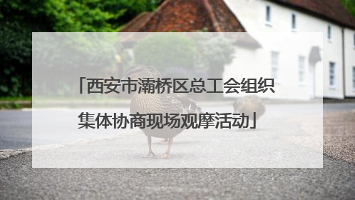 西安市灞桥区总工会组织集体协商现场观摩活动
