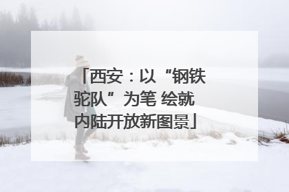 西安：以“钢铁驼队”为笔 绘就内陆开放新图景