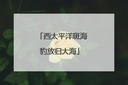西太平洋斑海豹放归大海