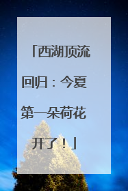 西湖顶流回归：今夏第一朵荷花开了！