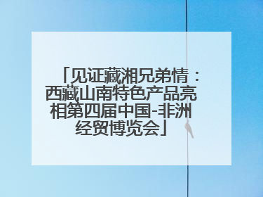 见证藏湘兄弟情：西藏山南特色产品亮相第四届中国-非洲经贸博览会
