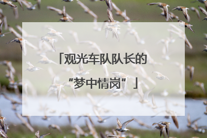 观光车队队长的“梦中情岗”